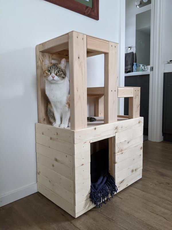 Photograph of cat sitting on homemade wooden cat tree.